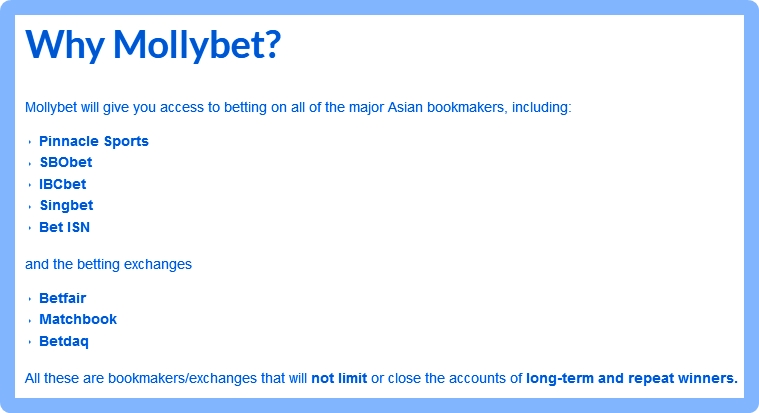 Das Mollybet-Angebot auf Englisch beschrieben